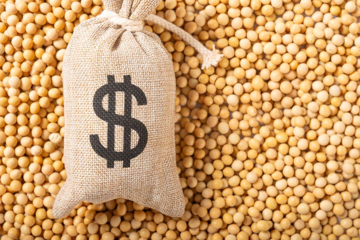 Brasil projeta recorde de processamento de soja em 2026